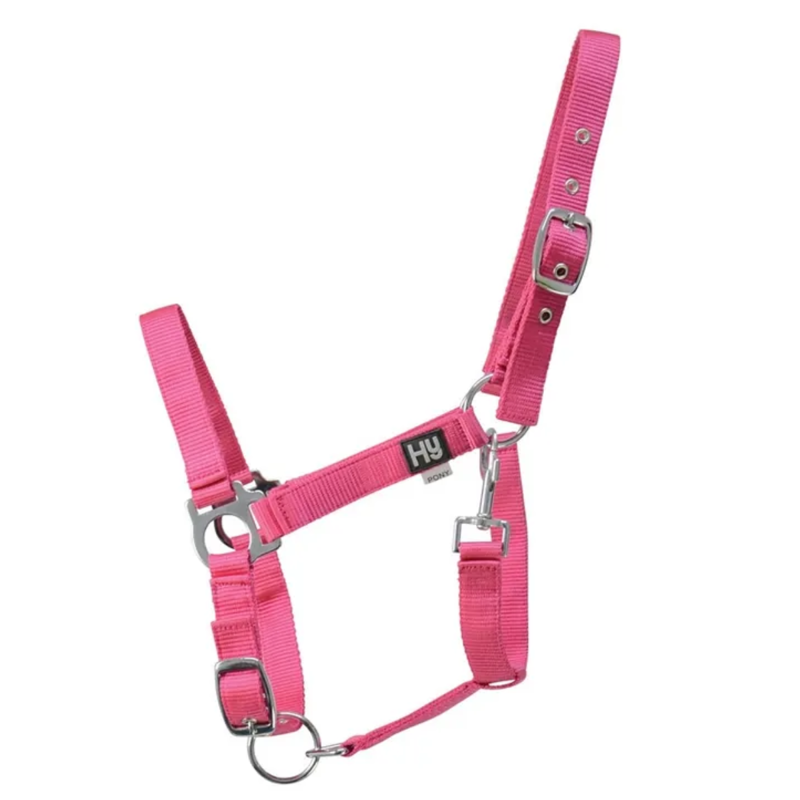 Hy Equestrian Economy Plus Headcollar - Cerise Pink