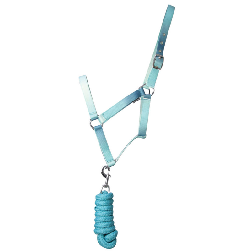 Hy Equestrian Ombre Head Collar and Lead Rope - Teal