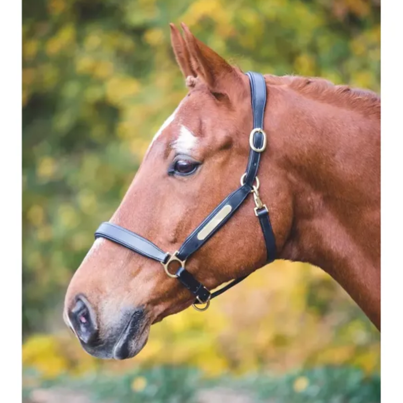 Shires Velociti GARA Leather Nameplate Headcollar - Black