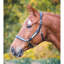Shires Velociti GARA Leather Nameplate Headcollar - Black