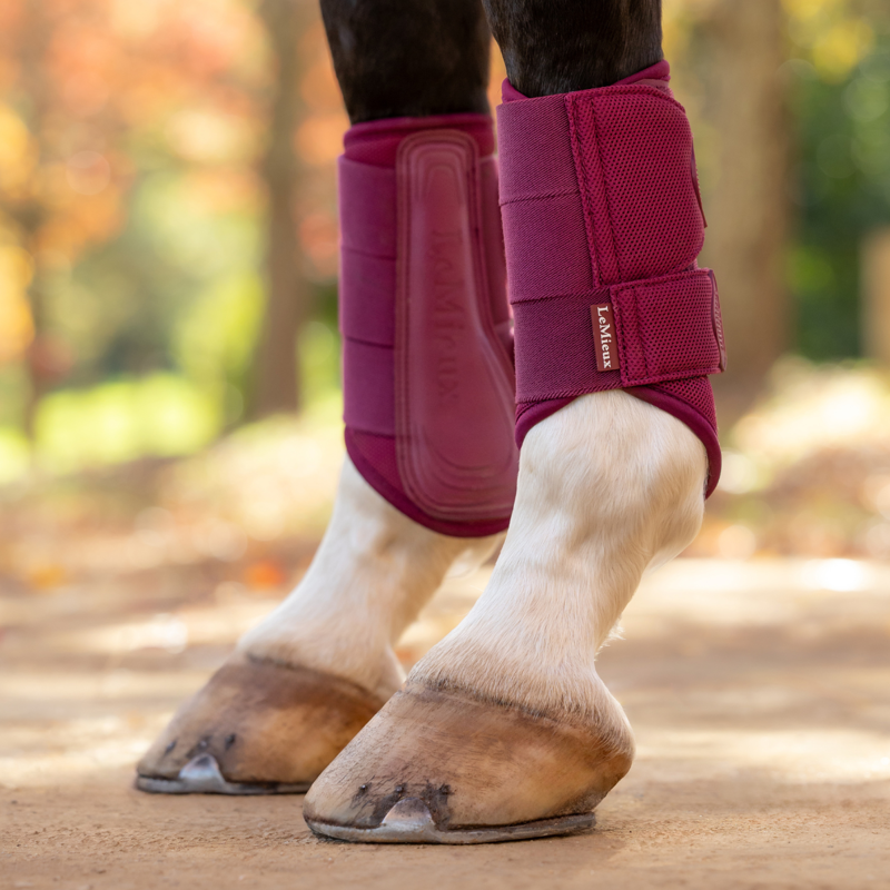 LeMieux Arika Mesh Brushing Boots - Blackberry-3