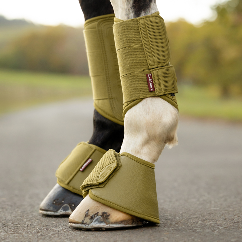 LeMieux Arika Over Reach Boots - Gooseberry-2