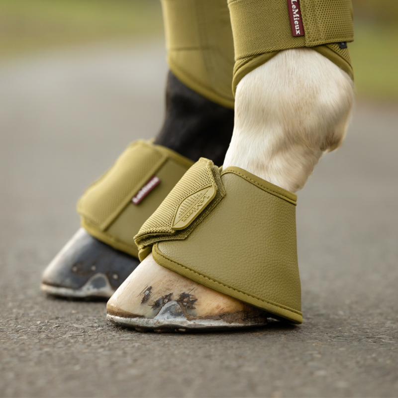 LeMieux Arika Over Reach Boots - Gooseberry-3