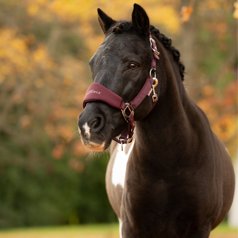 LeMieux Breakaway Vogue Headcollar and Leadrope - Bramble-1