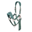 LeMieux Breakaway Vogue Headcollar and Leadrope - Aloe