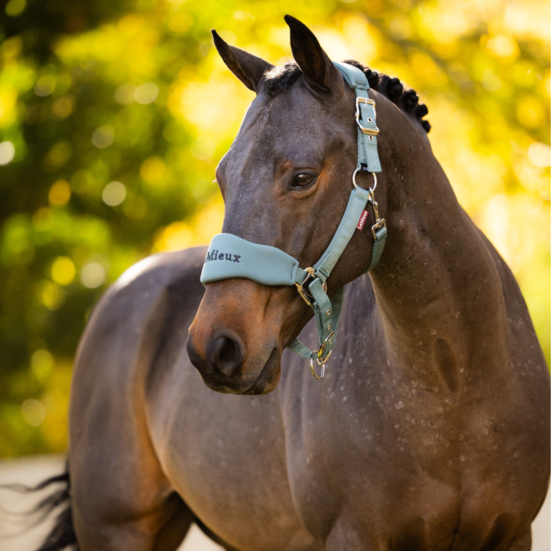 LeMieux Breakaway Vogue Headcollar and Leadrope - Aloe-1
