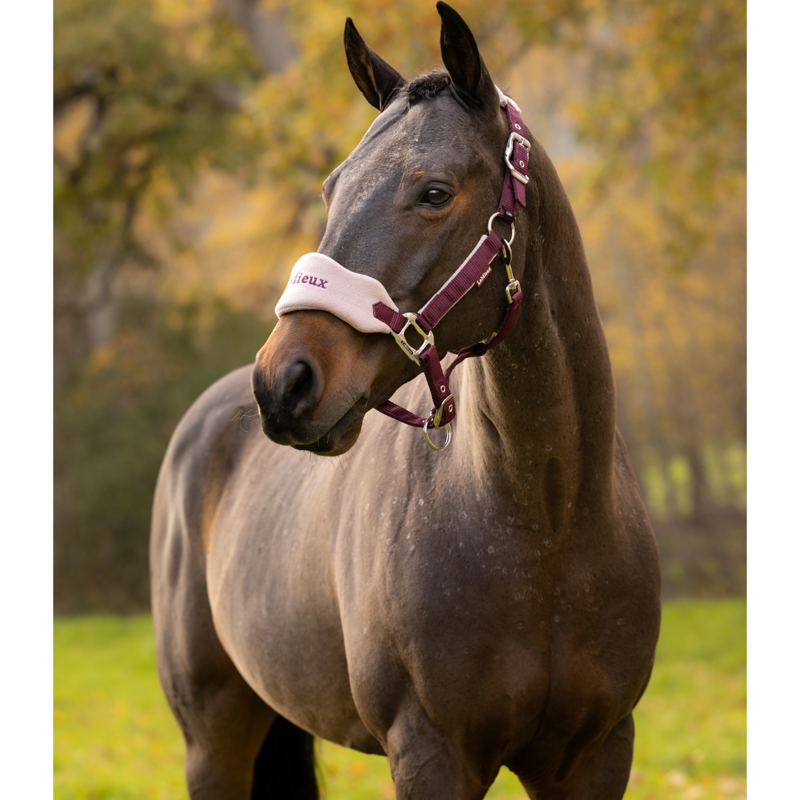 LeMieux Vogue Headcollar and Leadrope - Blackberry-1