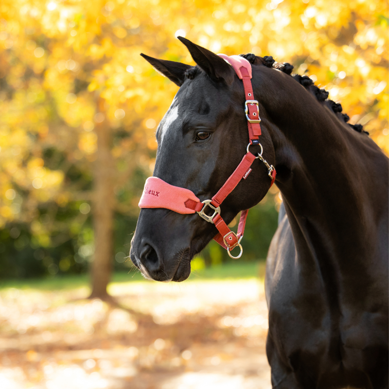 LeMieux Vogue Headcollar and Leadrope - Russet-1