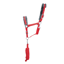 Hy Sport Active Head Collar and Lead Rope - Rosette Red