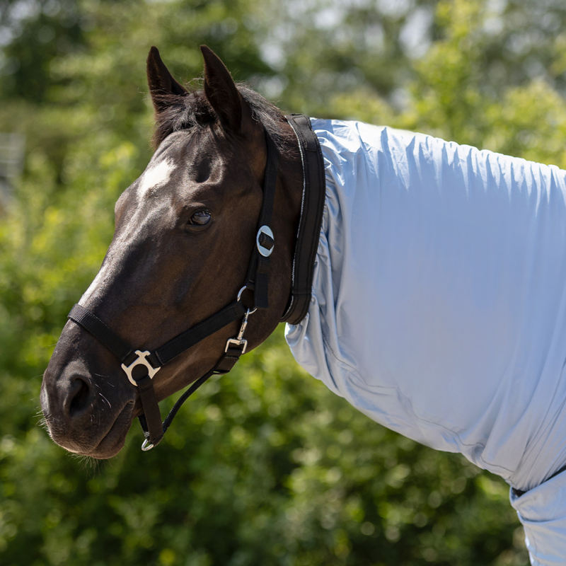 QHP Eczema Rug - Steel Blue-3