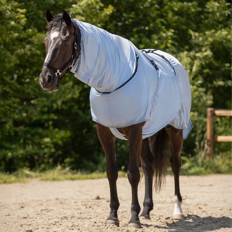 QHP Eczema Rug - Steel Blue-1