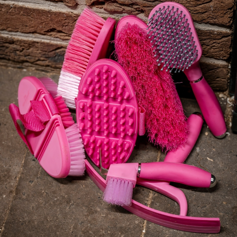 Horseware Newmarket Grooming Brush Set - Witney Pink-1