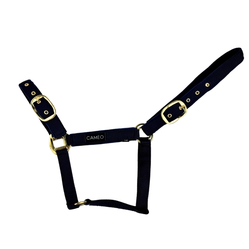Cameo Suede Padded Headcollar - Black