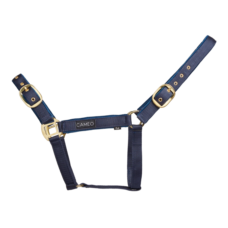 Cameo Suede Padded Headcollar - Navy