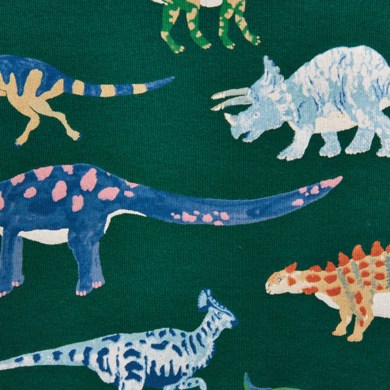 Joules Boys' Kipwell Pyjamas - Green Dino-6