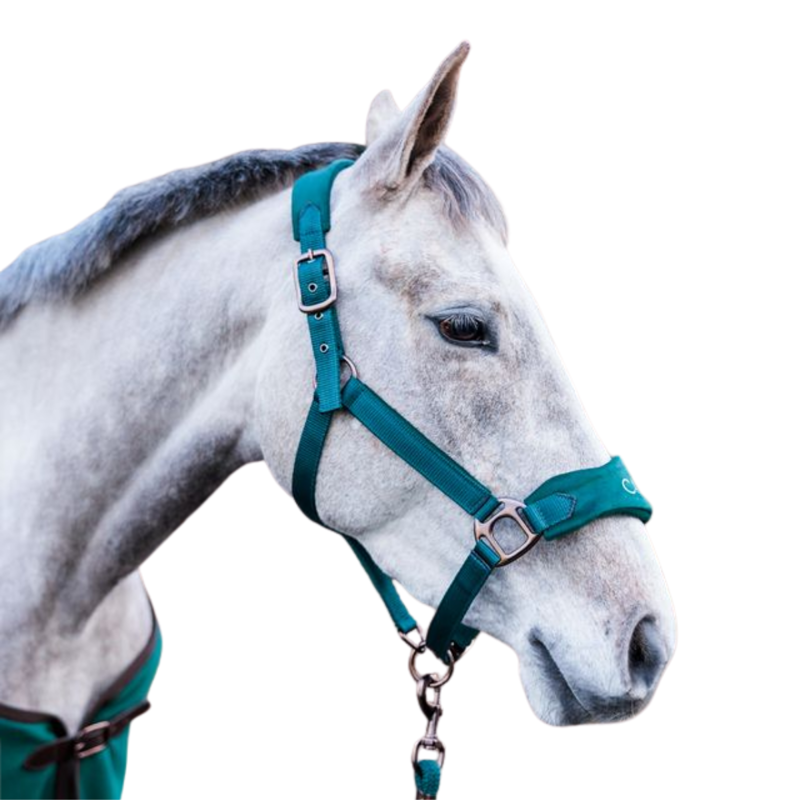 Cameo Suede Elite Headcollar and Leadrope - Evergreen