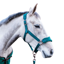 Cameo Suede Elite Headcollar and Leadrope - Evergreen