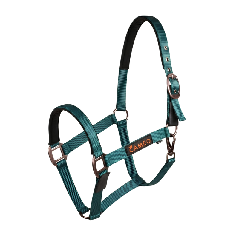 Cameo Fieldsafe Headcollar - Evergreen-1