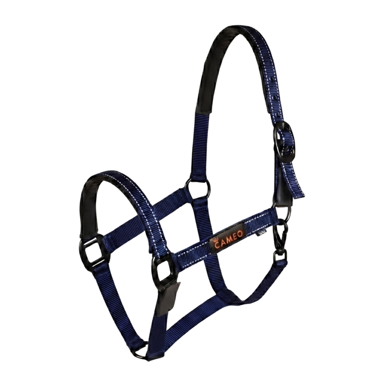 Cameo Fieldsafe Headcollar - Navy -1