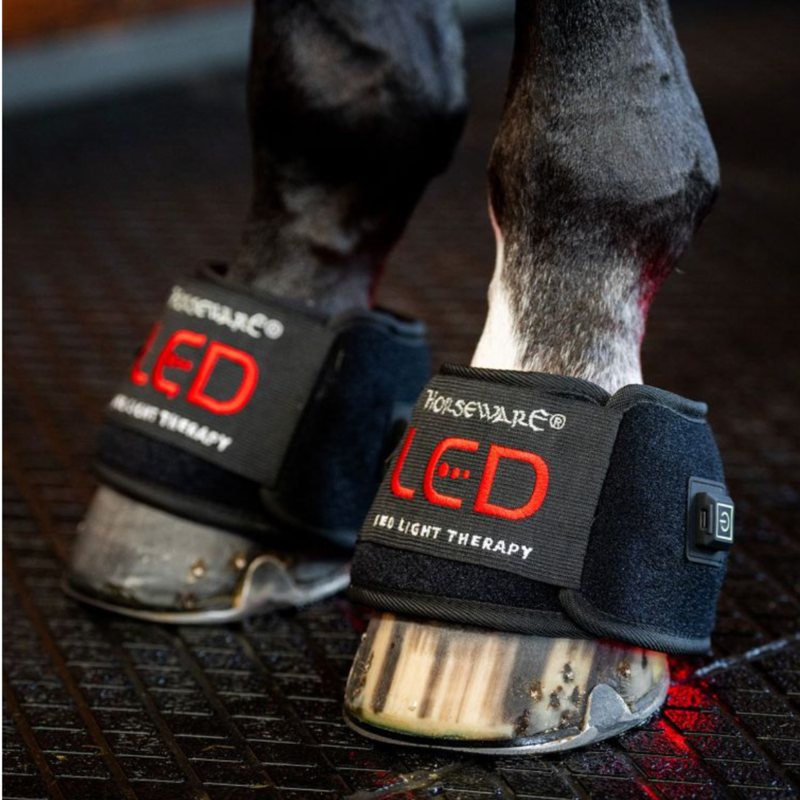 Horseware LED Red Light Therapy Mini Wrap Single - Black/Black-7
