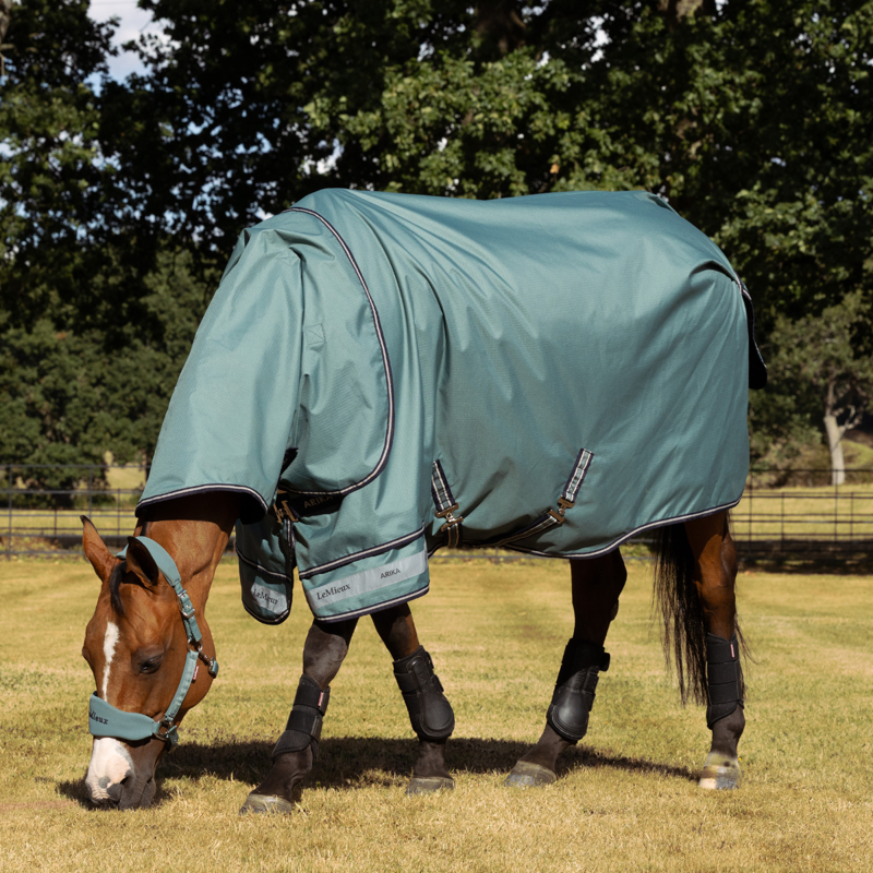 LeMieux Arika Ripstop 0g Turnout Rug - Aloe-1
