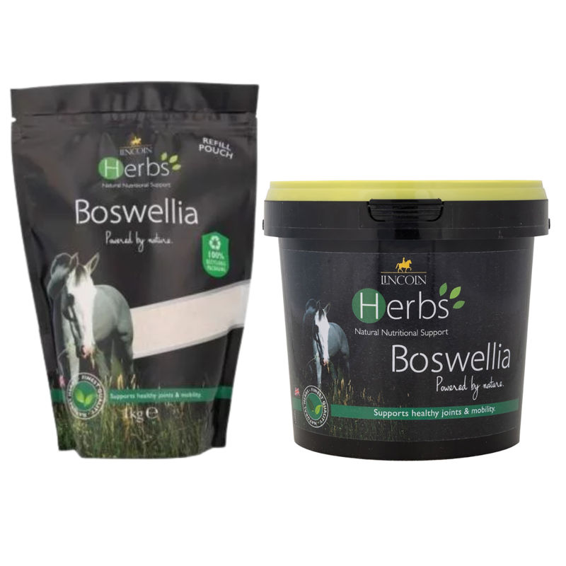 Lincoln Herbs Boswellia
