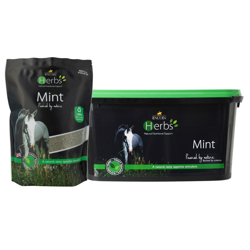 Lincoln Herbs Mint