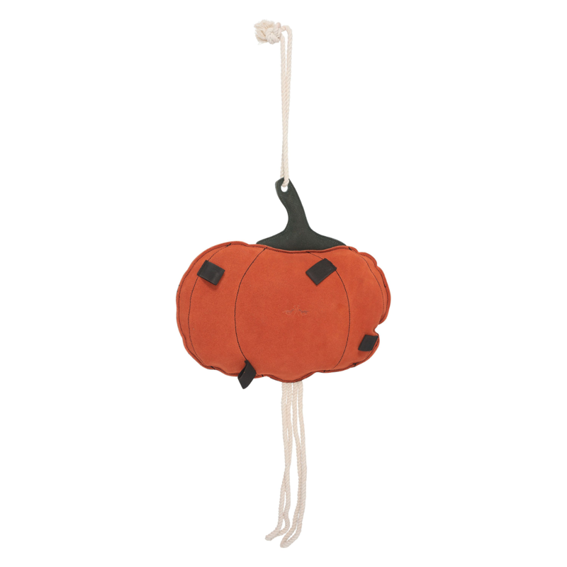 HV Polo Pumpkin Stable Buddy