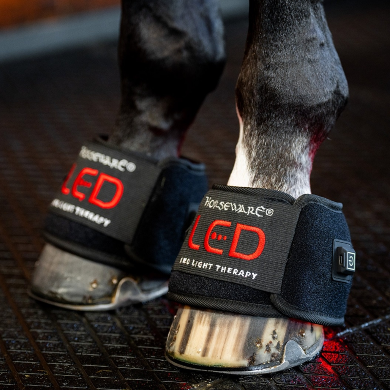 Horseware LED Red Light Therapy Mini Wrap Quad - Black/Black