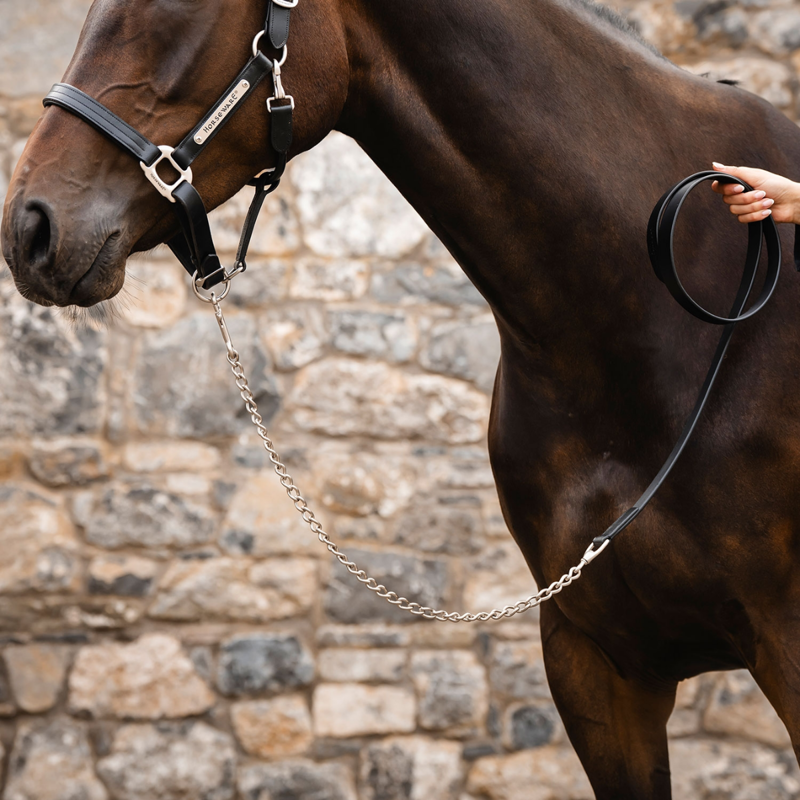 Horseware Signature Lead with Chain - Black