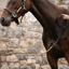 Horseware Signature Lead with Chain - Black