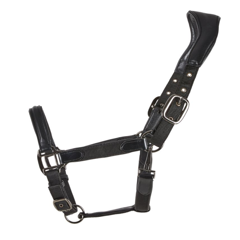 Cameo ComfortPro Headcollar - Black