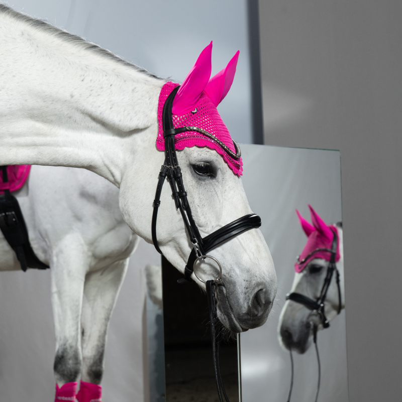Eskadron Crystal Fly Hood Dynamic AW26 - Lipstick-1