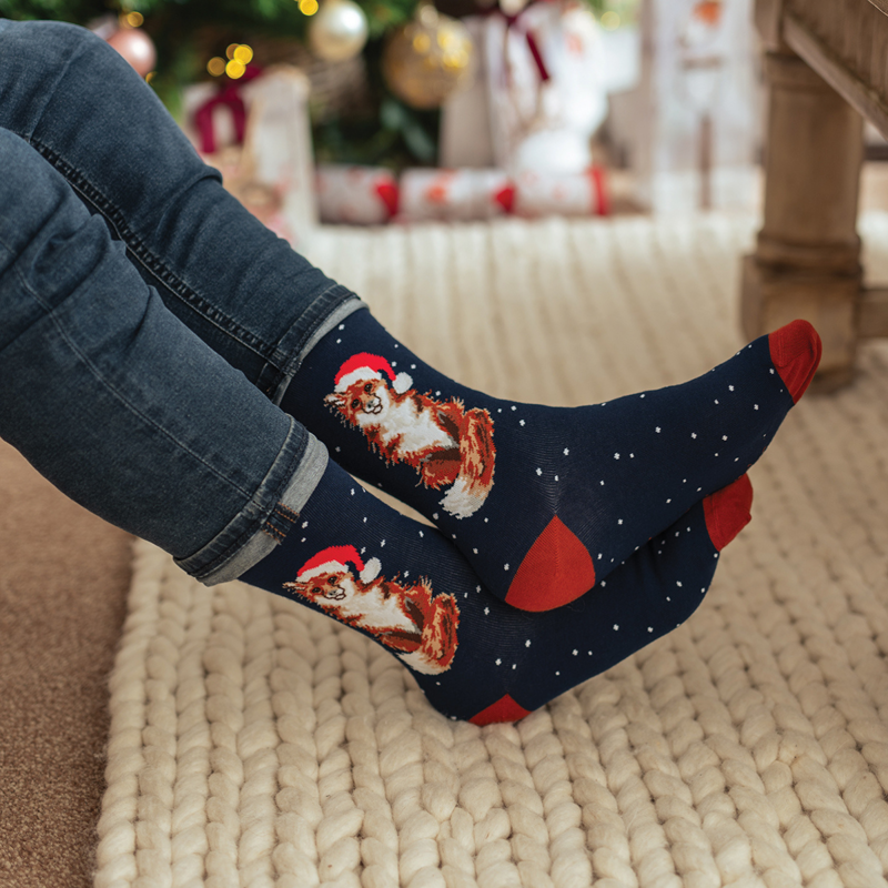 Wrendale Design's Men's 'Festive Fox ' Socks-1