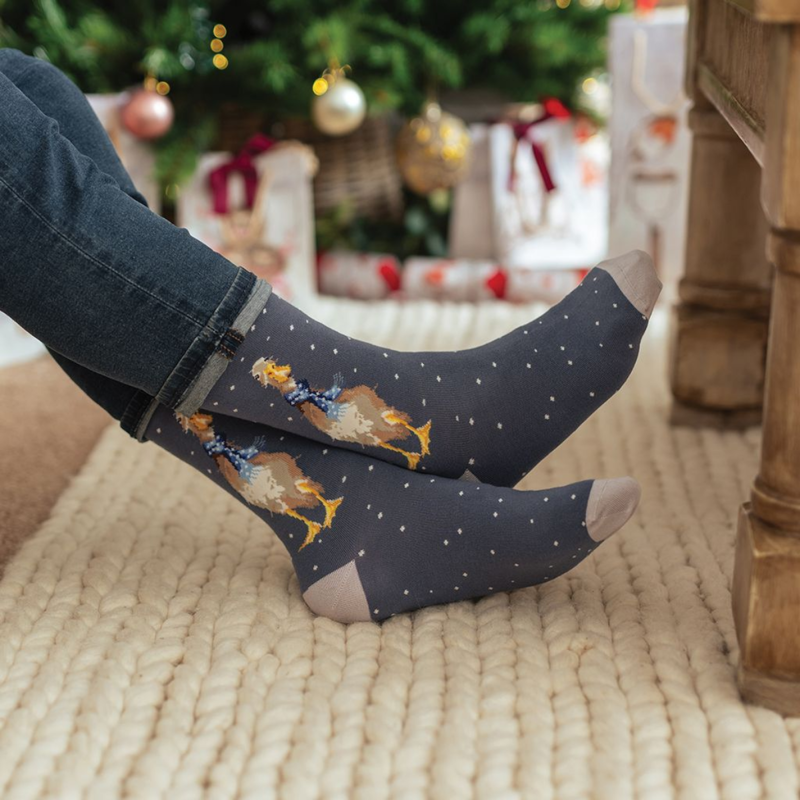Wrendale Design's Men's 'Christmas Scarves' Duck Socks-1