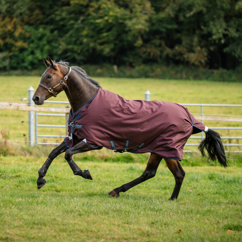 Horseware Amigo 1200D 250g Turnout Rug - Burgundy/Navy/Titanium Grey-6