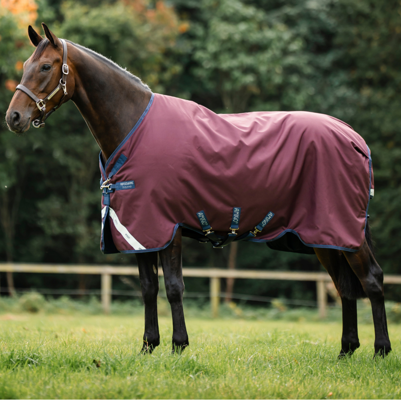 Horseware Amigo 1200D 250g Turnout Rug - Burgundy/Navy/Titanium Grey