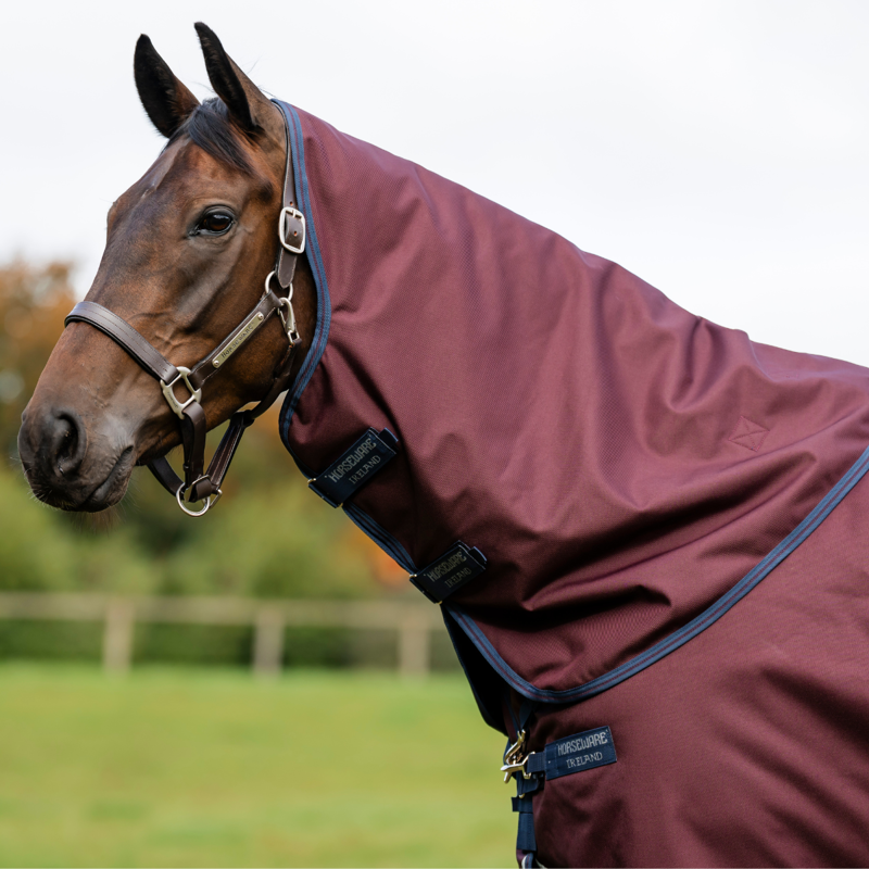 Horseware Amigo 1200D 0g Turnout Rug Hood - Burgundy/Navy/Titanium Grey