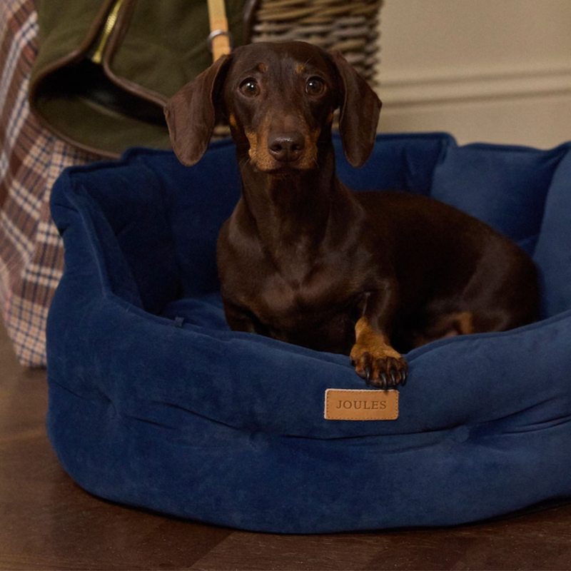 Joules Chesterfield Pet Bed - Navy-4