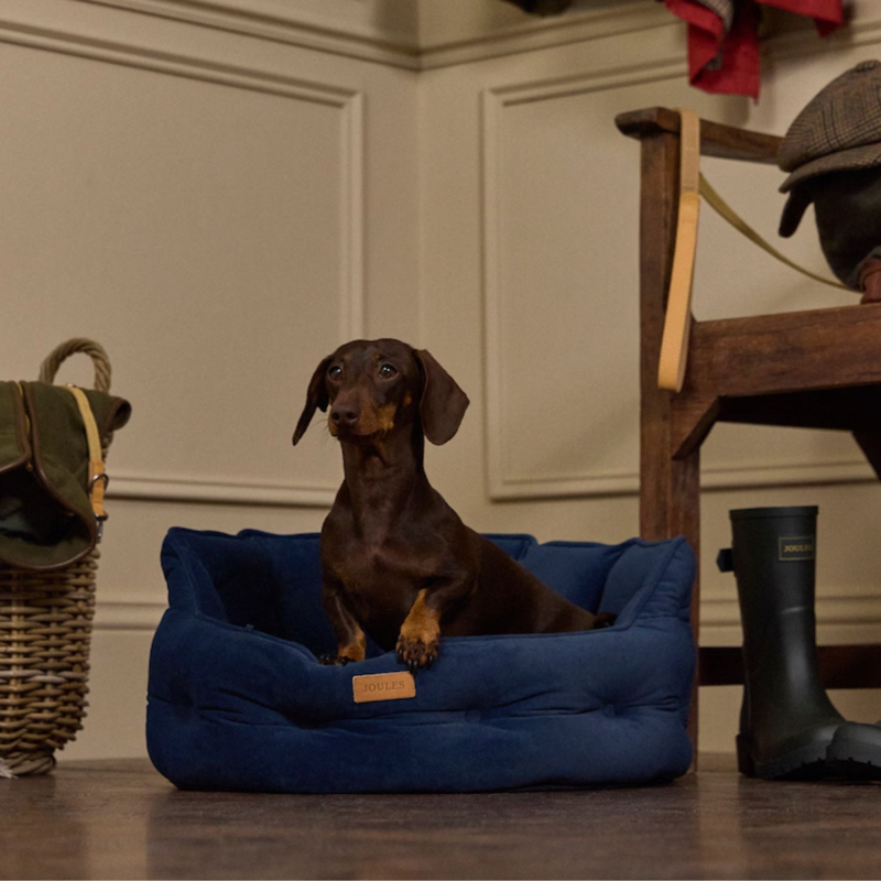 Joules Chesterfield Pet Bed - Navy-1