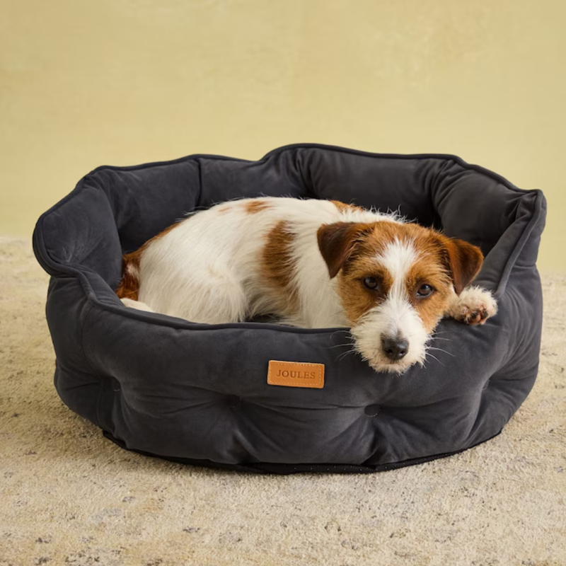 Joules Chesterfield Pet Bed - Grey-1