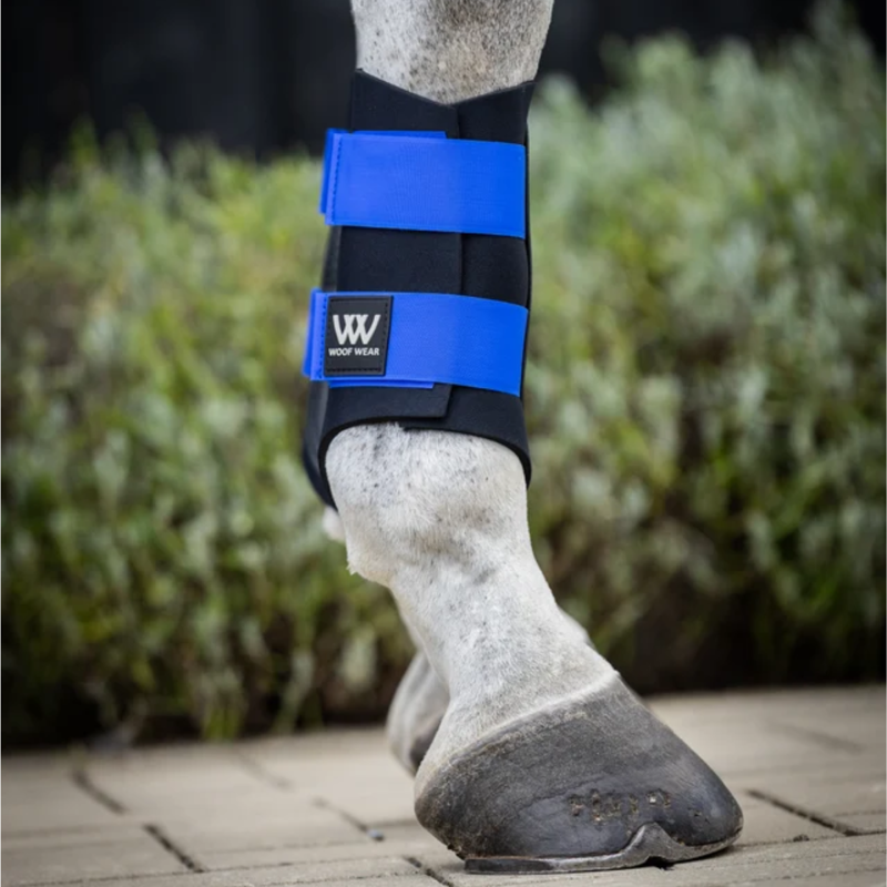 Woof Wear Club Brushing Boots - Black/Electric Blue-1