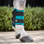 Woof Wear Club Brushing Boots - British Racing Green/Black