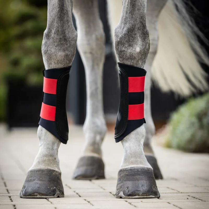 Woof Wear Club Brushing Boots - Black/Royal Red-1