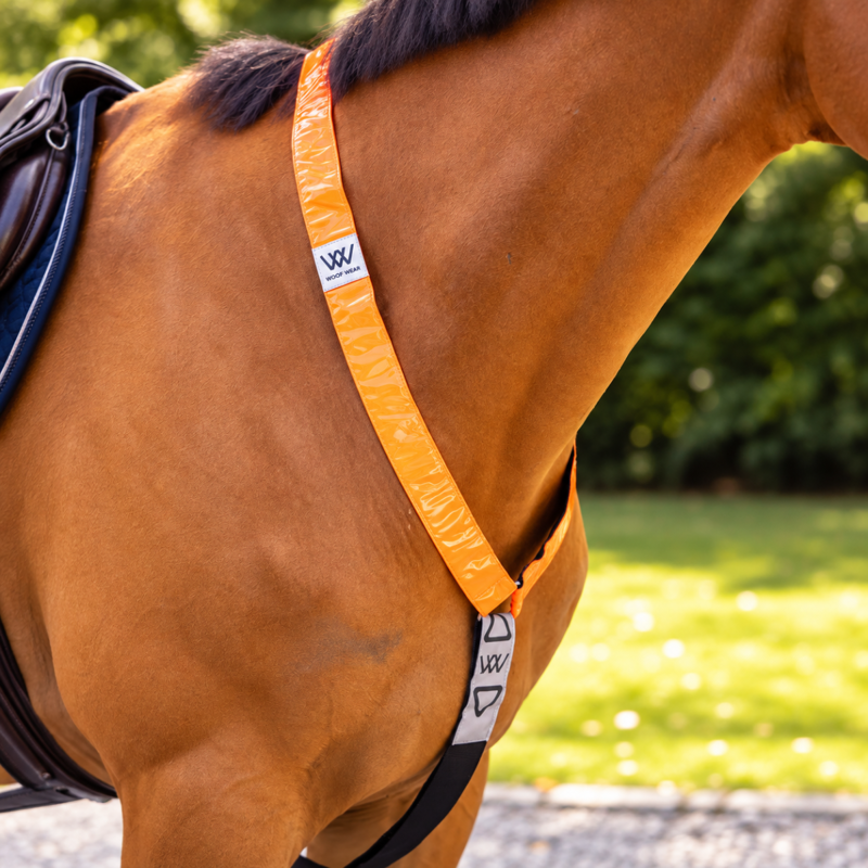 Woof Wear Hi Vis Neck Band - Orange