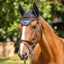 Woof Wear Classic Fly Veil - Black