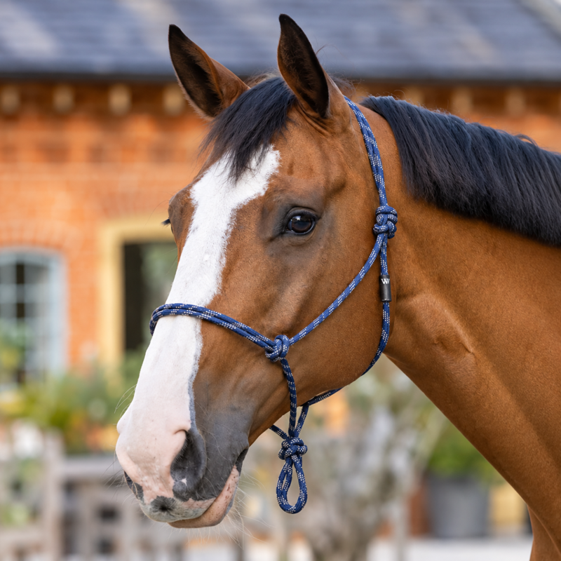 Woof Wear Rope Halter - Navy