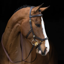 Horseware Rambo Micklem Multi Bridle - Brown
