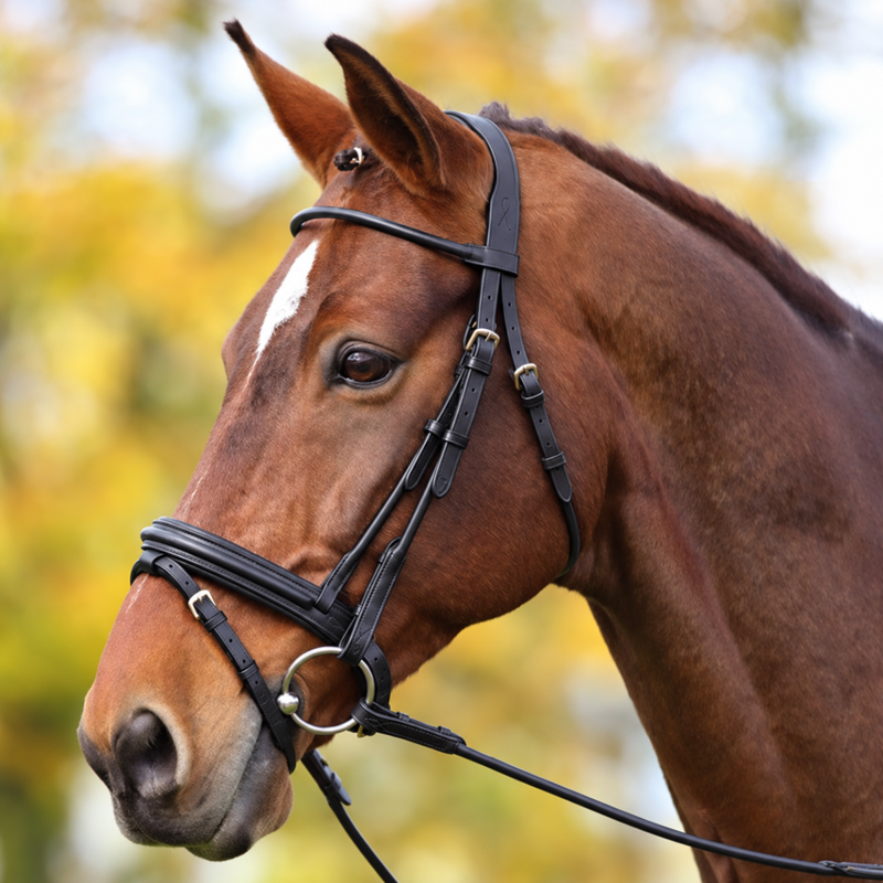 Shires Adelfia Rolled Leather Flash Bridle  - Black