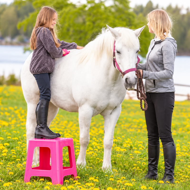 VPlast Step Stool - Pink-1